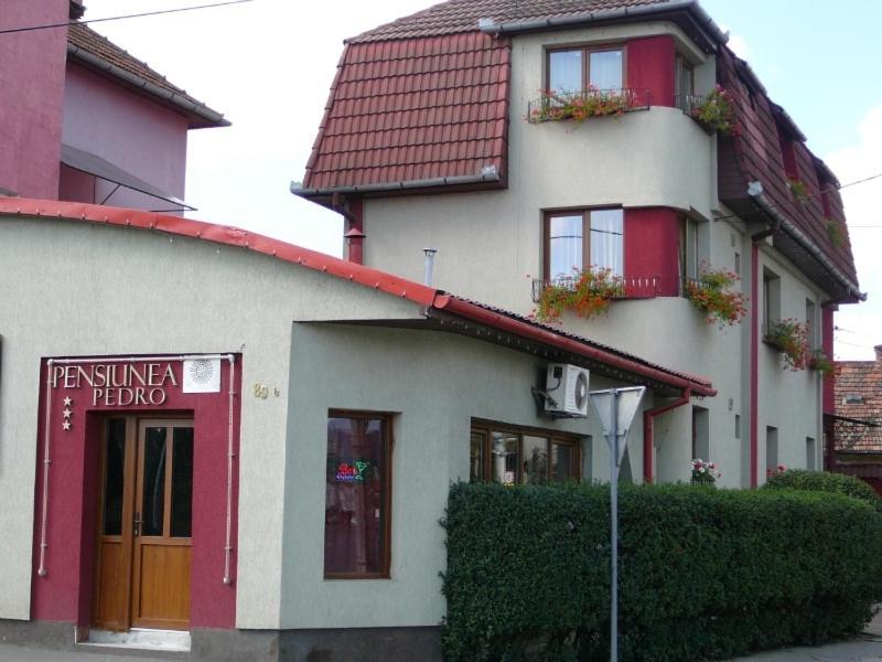 Pensiunea Pedro Cluj-Napoca Exterior foto